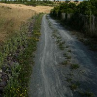 http://mail.christianbujold.com:443/files/gimgs/th-77_OUTSIDEinside_SpectacleISLAND_photo_VelaOma-573.jpg